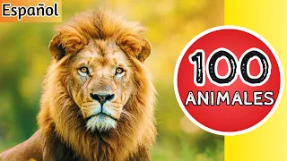 100 Animales para Niños - Aprende los Sonidos y Nombres de los Animales en Español