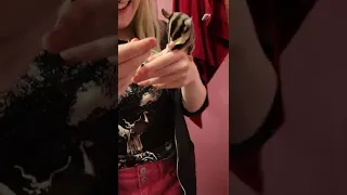 sugar gliders love their medicine!