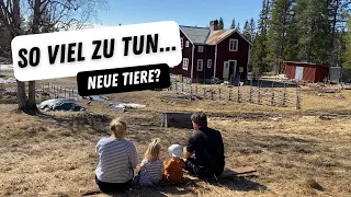 Der Garten wartet nur noch auf die Pflanzen und neue Tiere ziehen ein.