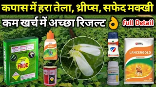 कपास में हरा तेला, थ्रिप्स, सफेद मक्खी पर नियंत्रण Aphids, Thrips, whitefly control in cotton