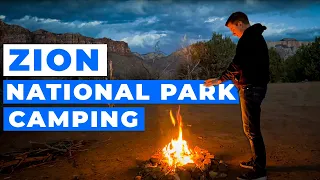 Camping at Zion National Park in my Tesla Model Y + Camp Mode | S1:E19