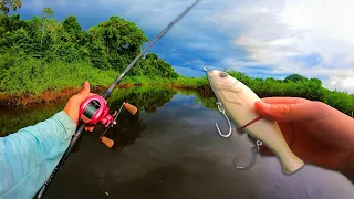 Big Swimbaits DEEP In The Amazon Rainforest For The Worlds Most Ferocious Fish (PART 1)