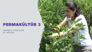 Zehirsiz Sofralar Belgeseli 10. Bölüm: Permakültür - 2 (Melike Müezzinoğlu)