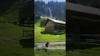 Peaceful Alps Village, Switzerland ❤️ Relaxing Satisfying ASMR Sound Of Cow Bells,Waterfall #nature