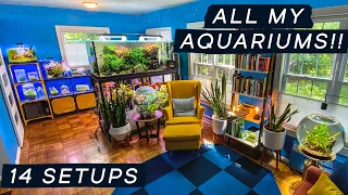 FULL HOUSE TOUR of ALL MY AQUARIUMS