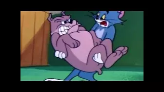 Tom And Jerry English Episodes - Tot Watchers - Cartoons For Kids