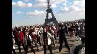 강남스타일 FLASH MOB IN PARIS - 싸이