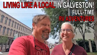Full-time RVers' Guide: Embracing Galveston TX's Local Living