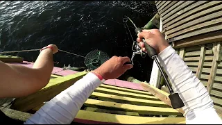 61st pier sheepshead fishing Galveston, Texas