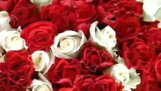 Розы в шляпной коробке "сердце"