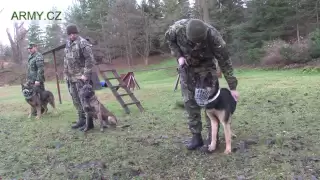 Výcvik služebních psů a psovodů AČR