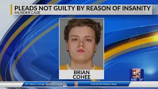 Brian Cohee pleaded not guilty by reason of insanity