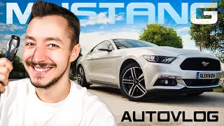 ΤΟ MUSTANG PROJECT ΞΕΚΙΝΑΕΙ!