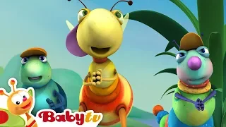 Big Bugs Band | Hip Hop It's a Rap | @BabyTV