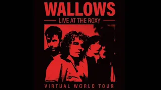 Wallows - I'm Full // Live At The Roxy