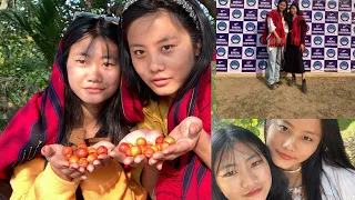 Liphanyan village vlog | picking fruits |