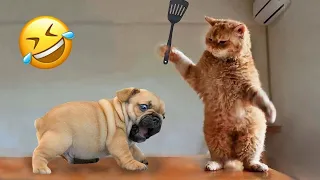 Try Not To Laugh 🤣 Funniest Cats and Dogs 2024 😹🐶 Part 9