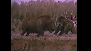 Journey to the Beginning of Time [1955] - Woolly Rhinoceros Screen Time