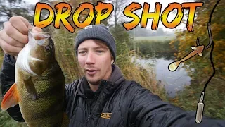 HOW TO DROP SHOT PERCH FROM THE SHORE 🍂 + (WIN A FISHING TRIP WITH US)