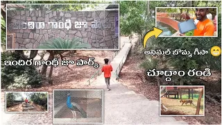 INDHIRA GANDHI ZOO PARK  IN VISAKHAPATNAM  |  THE HODOPHILE 2002 | LION 🦁| TIGER 🐯| MONKEYS 🐒