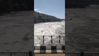 Murchison Falls at Karuma bridge