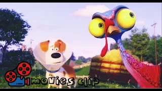 going to the farm-The Secret life of pets 2 CLIP-3 Movies CLIP(2019)