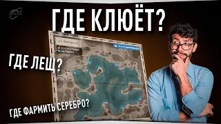 Где клюёт? Где Лещ?  Где фармить серебро? • Русская Рыбалка 4