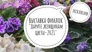 Выставка фиалок "Дарите женщинам цветы-2021". Презентация московских коллекционеров в Доме Фиалки.