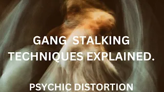 Gang Stalking Techniques Explained. Psychic Distortion.