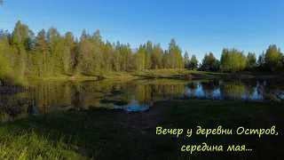 Вечер у деревни Остров, середина мая.