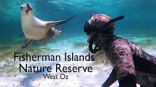 Amazing roadtrip snorkel with Sea Lions | Cervantes to Jurien Bay | Breakfast on the beach