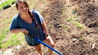 You Grow Girl! [FAMILY garden THERAPY WIN]