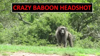 Crazy Baboon Hunting Headshot