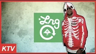 LRG - The History and Impact