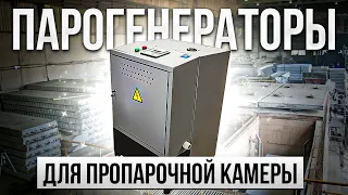 Парогенератор для пропарочной камеры