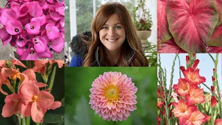 5 Popular Bulbs You Can Plant Now for Gorgeous Summer Color! 🌸🌼🌺 // Garden Answer