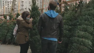 How to Pick the Best Christmas Tree and Care for It