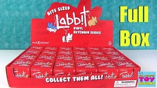 Bite Sized Labbit Vinyl Keychain Series Kidrobot Blind Box Unboxing | PSToyReviews