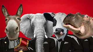 Funny Animal : Donkey & Elephant & Cow & Hippopotamus - Coffin Dance Meme ( COVER )