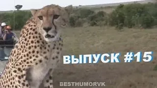 ЛУЧШИЕ ПРИКОЛЫ НЕДЕЛИ [best humor vk] Выпуск #15