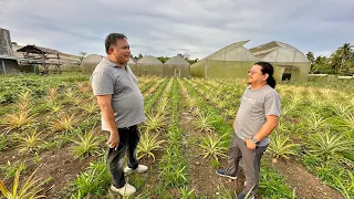 Engineer during office hour. Farmer after work! Bigtime kita mapa open field at Greenhouse farming