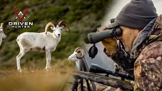 RAM DOWN! Dall Sheep Hunting in the Northwest Territories