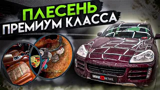 ПЛЕСЕНЬ ПРЕМИУМ КЛАССА! Полный разбор Porsche Cayenne #ОТМЫЛИ