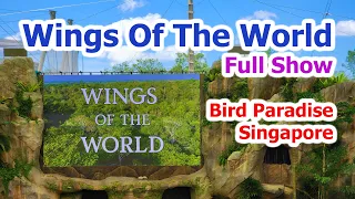 Bird Paradise Singapore Wings Of The World Full Show