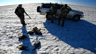 Незабываемая охота на фазана по первому снегу#2022#Амурская#область#