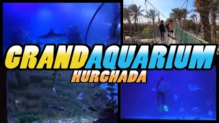 Hurghada GRAND AQUARIUM Walking Tour - Egypt (4k)