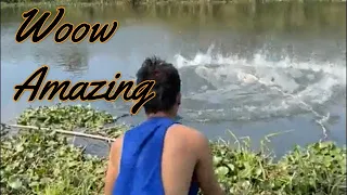 Bet Fishing day " net Fishing in River #fishingvideo #netfishing