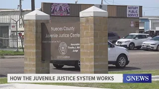 How does the juvenile justice system work?