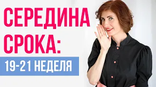 Середина беременности: что происходит на 19-21 неделе