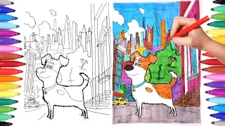 THE SECRET LIFE OF PETS Coloring Pages for Kids | Drawing and Coloring Max The Secret Life of Pets